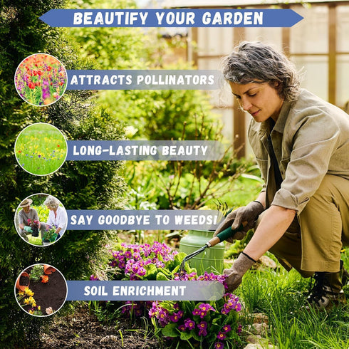 14000+Creeping Thyme Seeds for Planting Outdoor-Ground Cover Magic Carpet Thymus Serpyllum Cover Herb Plant Plant