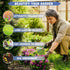 14000+Creeping Thyme Seeds for Planting Outdoor-Ground Cover Magic Carpet Thymus Serpyllum Cover Herb Plant Plant