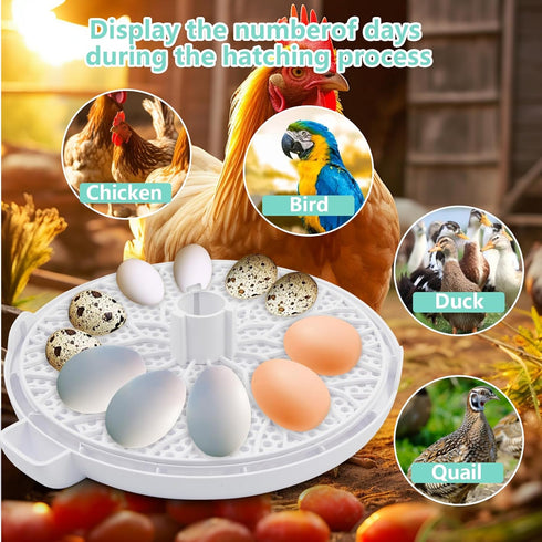 TWIZMO 12 360 Egg Incubator for Hatching Chicks, Holds Eggs, Automatic Egg Turner with Temperature, Humidity Display