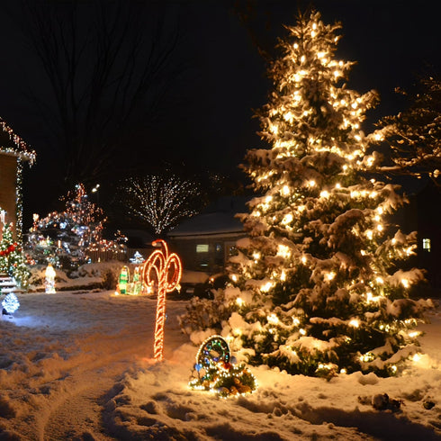 66FT 200 8 LED Christmas Mini Lights End-to-End Plug Modes Indoor String Lights with Timer, Outdoor Indoor Twinkle