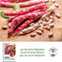 50+ French Horticulture Bean Seeds (Phaseolus vulgaris) Non-GMO Heirloom Seeds by Islas Garden Seeds, Also Known as