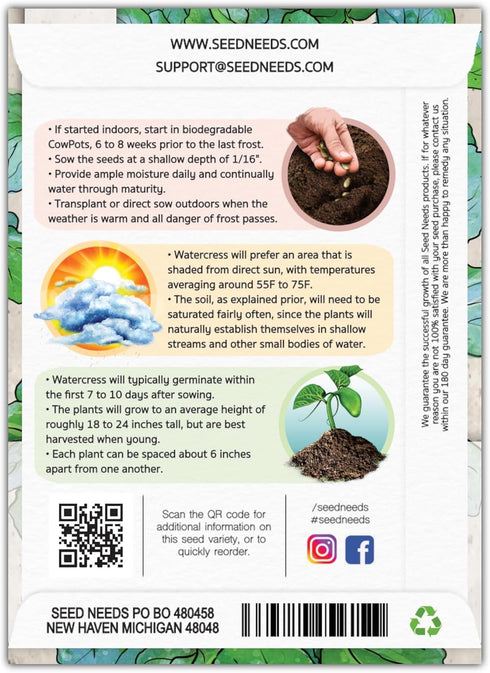 (2 Packs) Seed Needs Watercress Seeds for Planting Nasturtium officinale - Non-GMO Heirloom & Untreated - Plant Your