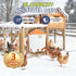 3 250W Lilyang Heated Chicken Waterer Gallon, Chicken Water Heater with Thermostat Control, Freeze-Proof Poultry