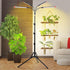 4,8,12,16,20 36 24"-64" Grow Light with Stand and Timer Hr, Watt Standing Tall Plant Light for Bonsai Tree, Seed
