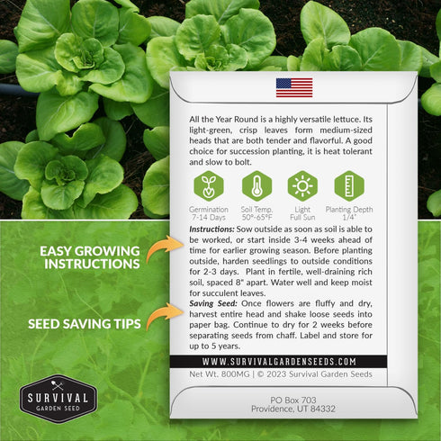 (1 Pack) All the Year Round Lettuce Seeds for Planting Slow-Bolting Butterhead Variety for Cool and Moderate Climates
