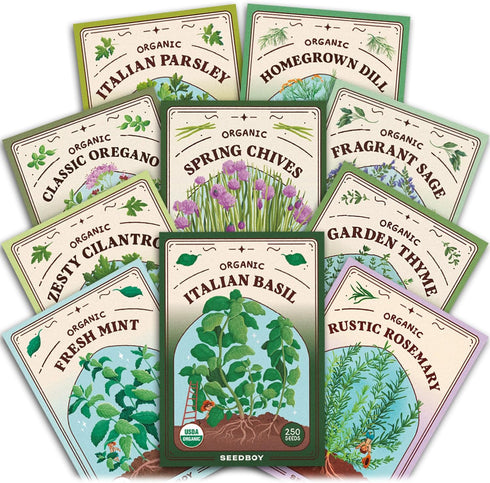Seedboy Organic Non GMO 10 Herb Variety Pack: Basil, Cilantro, Mint, Oregano,