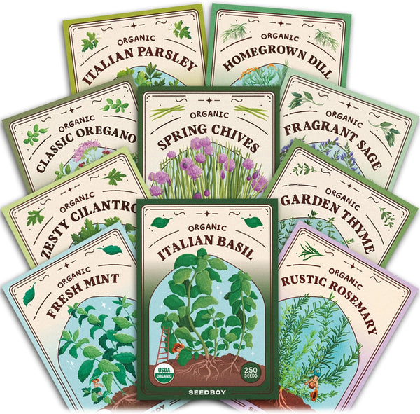 Seedboy Organic Non GMO 10 Herb Variety Pack: Basil, Cilantro, Mint, Oregano,