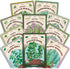 Seedboy Organic Non GMO 10 Herb Variety Pack: Basil, Cilantro, Mint, Oregano,