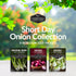 3 Short Day Onion Seeds Variety Collection Red Burgundy, White Grano & Tokyo Long White Bunching Onion Seed
