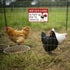Metal Chicken Sign, Keep Gate Closed, 8 x 12 Inches Yard Sign for Farm Garden Wall Decor Outdoor Home Fence