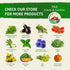 2 500+ TKE Farms & Gardens - Lacinato Kale Seeds for Planting, Grams, Heirloom Non-GMO Seeds - Dinosaur Kale, Tuscan