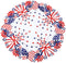 Simhomsen Embroidered Patriotic Round Doily Placemats, Set of 4 for July 4th, American Independence Day, 15 inches