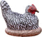 Cawowa Inflatable Chicken, Decorations for Birthday Party Supplies Toy, Wild West Farm Theme
