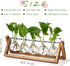 Decor(5 Bulb YIBOT Propagation Stations,Plant Terrarium with Wooden Stand,Plant Lover Gifts for Women for Hydroponics