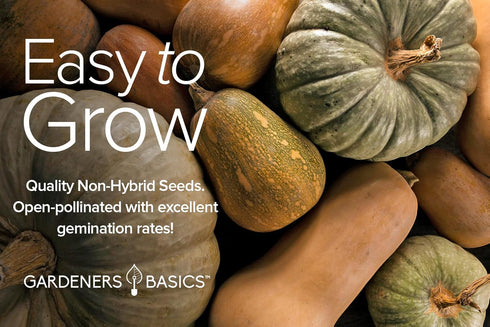 8 Packets Gardeners Basics, Squash Seeds for Planting Individual - Zucchini, Delicata, Butternut, Spaghetti, Scallop