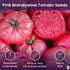 Pink Brandywine Tomato Seeds for Planting Heirloom, Large & Juicy One of the Most Delicious Tomatoes for Home Growing