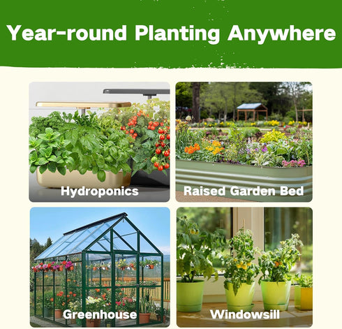 6 32 30,000+ Lush&Dew Year-Round USDA Zone Heirloom Survival Seed Kit, Varieties Non-GMO Seeds for Planting Vegetables