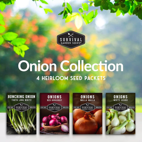 4 Packs Onion Seeds Variety Collection Bunching, Red Burgundy, White Grano & Walla Walla Sweet Onions for Planting a