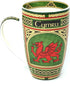 Clara Craft Wales Porcelain Coffee Mug - Welsh Red Dragon Porcelain Cup with Irish Celtic Knots Design, Made of New