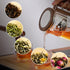 27.05 oz MACTANO Enchant Series Glass Magic Teapot with Magnetic Infuser, Modern Personal Tea Pot for Loose Leaf Tea