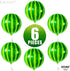 KatchOn Big 22 Inch Watermelon Balloons - Pack of 6, 4D Round Watermelon Mylar Balloon for Summer Party Decorations