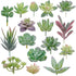 Augshy Artificial Succulents, 16 Pack Fake Plants for Decorative Garden Arrangement