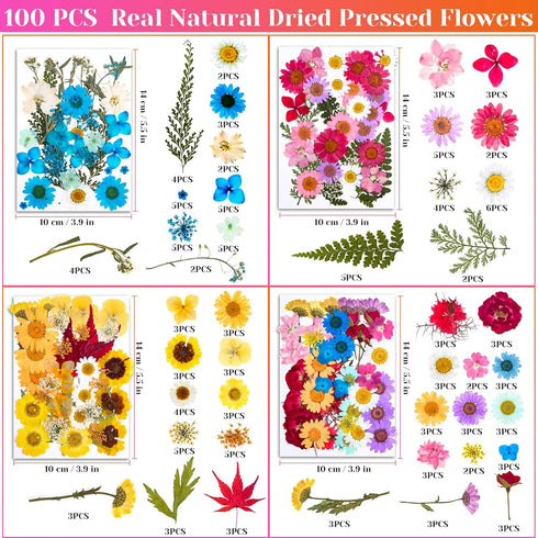 Real Dried Pressed Flowers for Resin, Natural Dry Flowers Leaves Bulk Kit for DIY Scrapbooking & Art Crafts