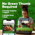 2 Pack 6000 HOME GROWN Tendersweet Carrots Seeds - Non-GMO Heirloom Carrot Seeds for Planting Outdoors - High- (Daucus