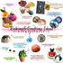 FUNSHOWCASE Small 15 Cavity Semi Sphere Half Round Dome Silicone Mold - Chocolate Teacake Baking Tray