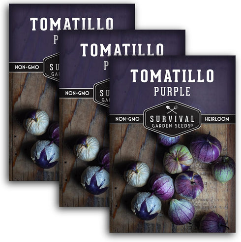 Purple Tomatillo Seeds for Planting - Heirloom Mexican Husk Tomato, High Yield