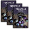 Purple Tomatillo Seeds for Planting - Heirloom Mexican Husk Tomato, High Yield