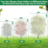 4 5 (2 Evoio Bird Netting for Garden Plant Fruit Tree Protection Large Blueberry Bushes Netting Covers Bags