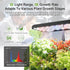 Indoor Herb Garden Kit, Hydroponic Growing System with LED Grow Light Quiet Water Pump for Home Kitchen Office Healthy
