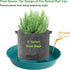 Feyvdzv 4 Pack 10 inch, 8 12 14 17 inch, Plant Saucer Plant Stand Plastic Plant Saucers for Indoors Outdoor, Heavy Duty