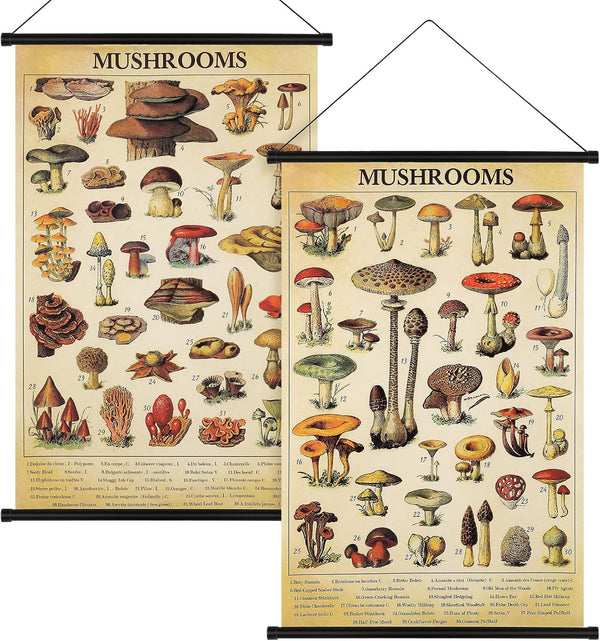 Geosar 2 Pcs Vintage Mushroom Flower Butterfly Tree Poster Fungus Rustic Wall