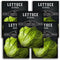 Iceberg Lettuce Seeds for Planting Crisp Head Lettuce Variety with Crunchy Texture