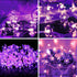 15FT 30LED ITICdecor Flower String Lights Fairy Lights Battery Operated Indoor&Outdoor Twinkle Lighting Bedroom Decor