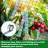 25'x50' 2" BSTPCOO Bird Netting with Mesh Garden Net with Bird Scare Tape, Avian Nettings for Chicken Coop Roof, Heavy
