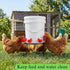 2 Pack Cedilis Chicken Feeder Stand, Heavy Duty Iron Stand for Chicken Coop Poultry Feeder and Waterer Buckets Indoor