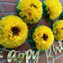 Tissue Paper Sunflowers Decorations for Wall, Birthday Party Backdrop, Home Decoration Pack of 6