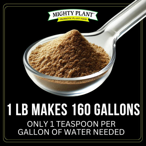 (1 lb) (1, Organic Instant Compost Tea Probiotic Plant Food Bloom Booster & Yield Booster for Hydroponics & All