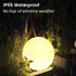 IP65 8-inch LOFTEK Solar Ball Lights with Ground Pile, RGB Colors Changing Floating Pool Ball Lights, Waterproof USB