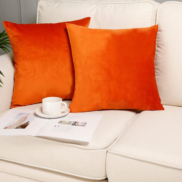MZPSO Pack of 2 Velvet Super Soft Solid Decorative Square Throw Pillow Covers, 18 x 18 Inch for Sofa Bedroom