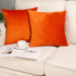 MZPSO Pack of 2 Velvet Super Soft Solid Decorative Square Throw Pillow Covers, 18 x 18 Inch for Sofa Bedroom