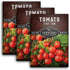 Tiny Tim Tomato Seeds - Dwarf Cherry Tomatoes for Planting Indoors or