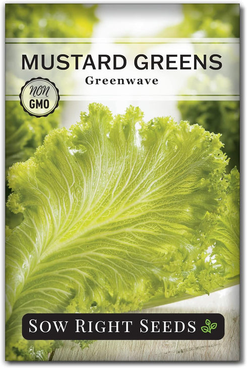 Sow Right Seeds - Greenwave Mustard Greens Seed for Planting - Non-GMO
