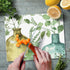 CounterArt Greenery Decorative 3mm Heat Tolerant Tempered Glass Cutting Board 10” x 8” Manufactured in the USA Dishwasher Safe