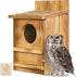 Screech Owl House, Owl Bird Box Large Handmade Wooden Circular Opening Screech