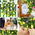 AirSun Artificial Morning Glory Flower Vines, 2pcs 15Feet Silk Garland for Home Garden Decor