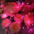 12 Pack 7 20 WATERGLIDE Valentine's Fairy Lights Battery Operated (Included), ft LED Mini String Lights, Waterproof